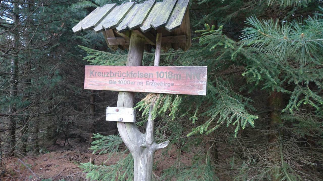 Ferienwohnung Korn Mit Tiefgarage Und Skiraum Oberwiesenthal Zewnętrze zdjęcie